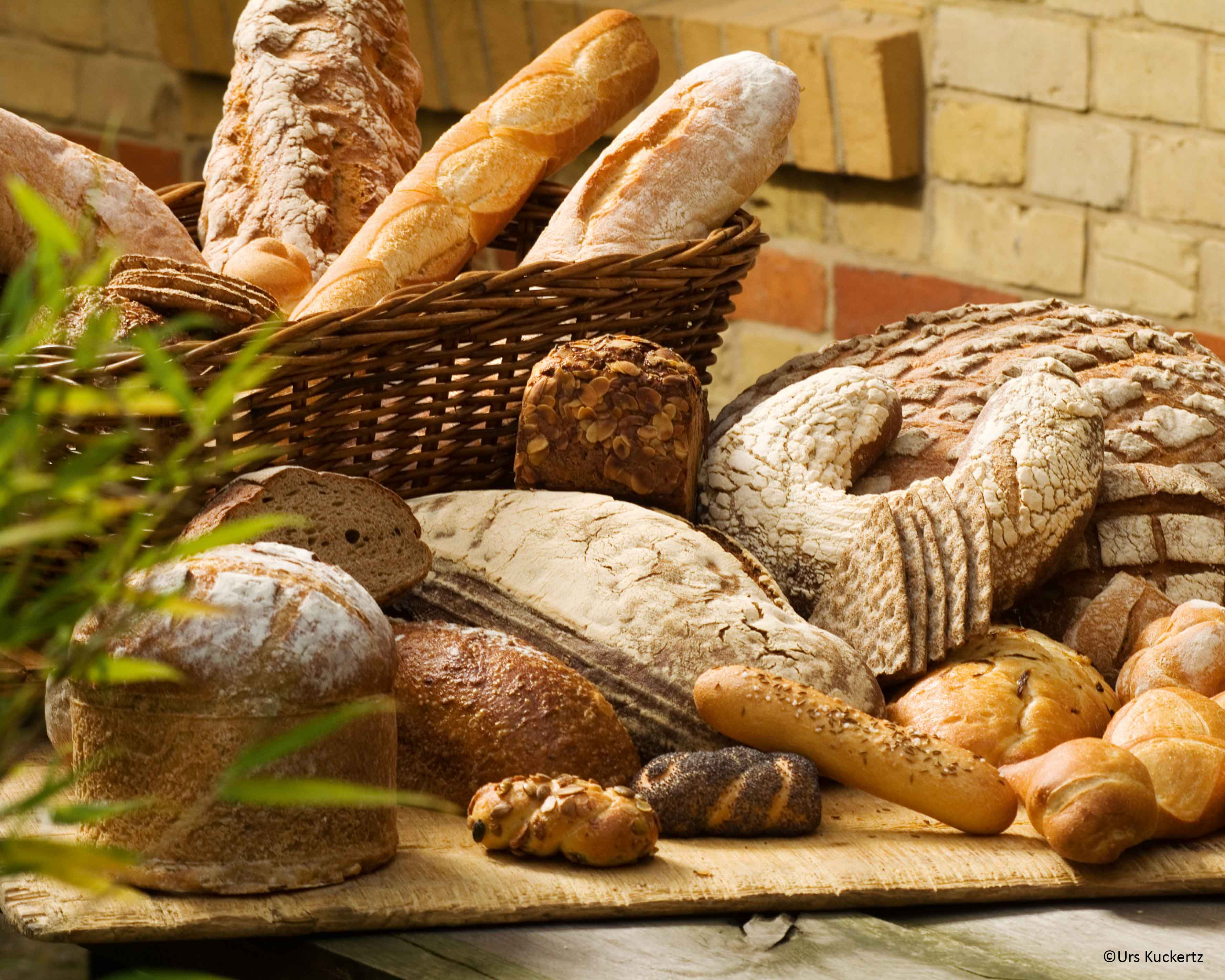 Immer noch frisch: Brot und Brötchen von gestern